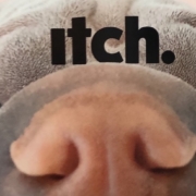 Cropped image from Itch outdoor campaign by NOW