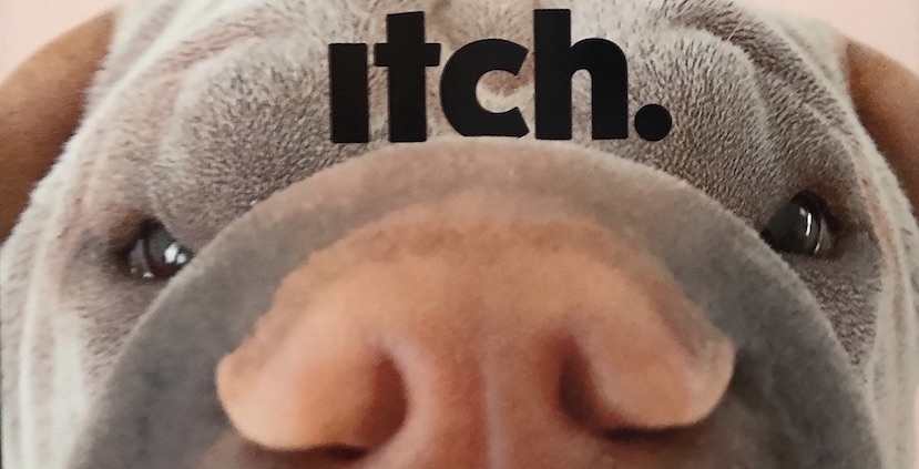 Cropped image from Itch outdoor campaign by NOW