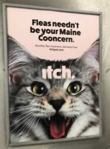Poster of cat advertising flea treatment