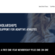 Screenshot of Lions United ROAR Scholarship webpage